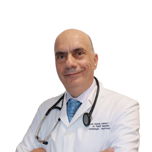 Portrait published for Dr. Wajdi Haddad